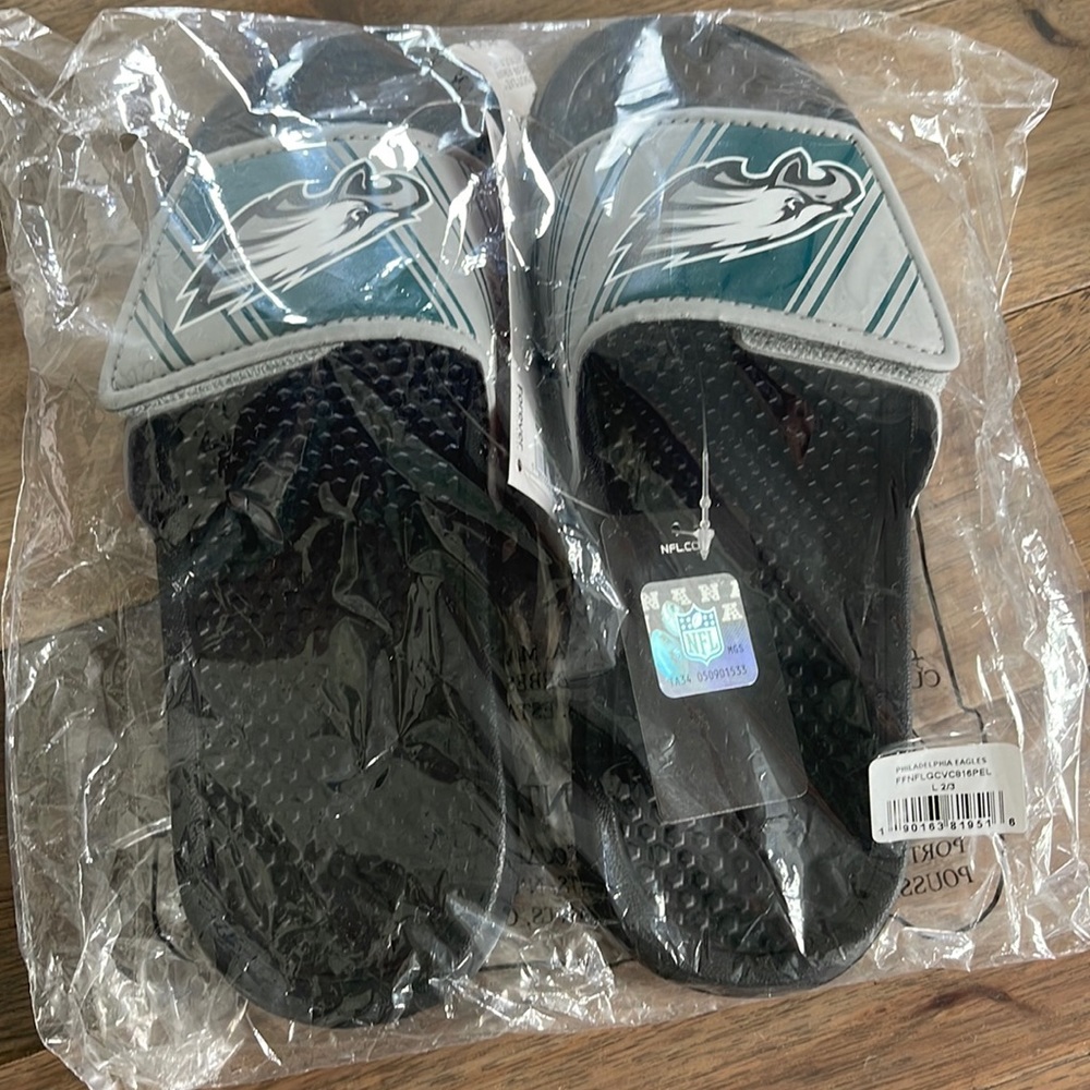 Eagles slides